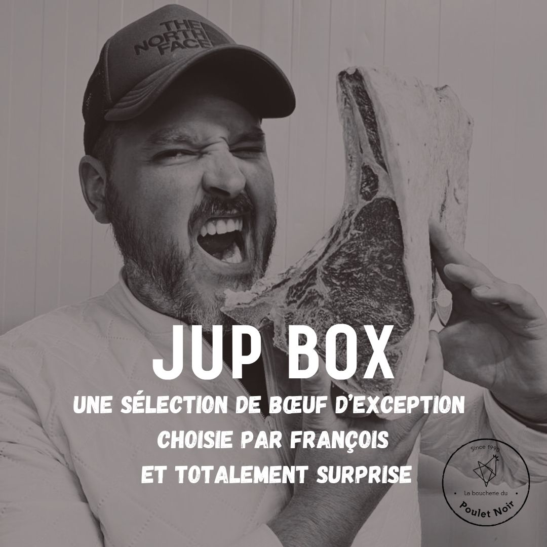 Jup Box – Image 2
